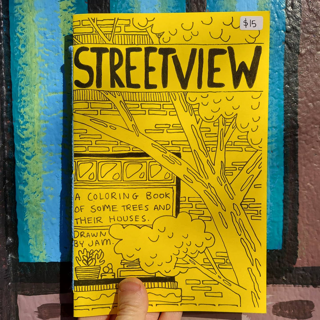 Streetview Chicago Landscape Coloring Book