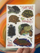 Turtles of the Midwest Sticker Sheet